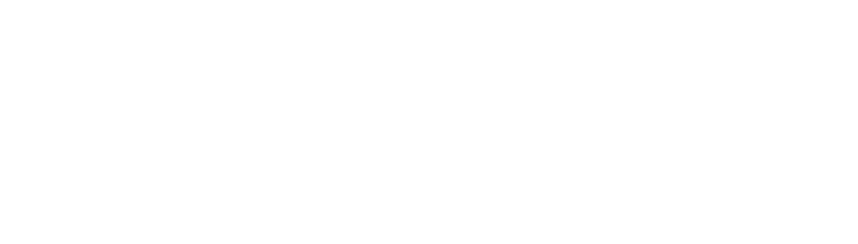 Bulwark: Falconeer Chronicles logo